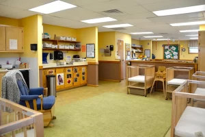 Learning Paths Academy Leavells Infant Room