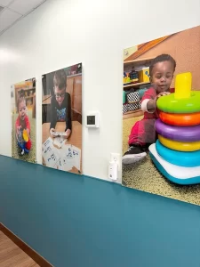 Learning Paths Academy Rippon wallboards