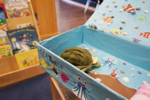 Stone Ridge PREP Sea Turtle project